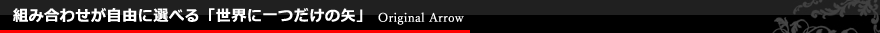 組み合わせが自由に選べる「世界に一つだけの矢」